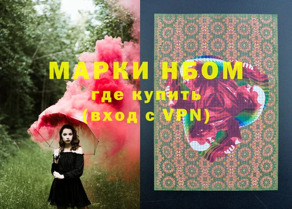 хмурый Белокуриха