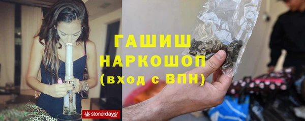 дмт Богородицк