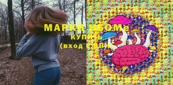 метадон Богданович