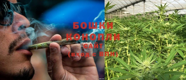 метадон Богданович