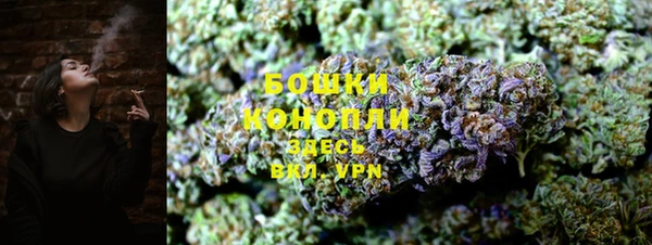 метадон Богданович