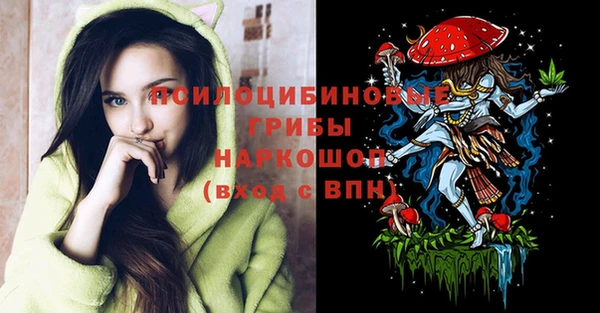 метадон Богданович