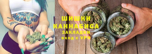 метадон Богданович