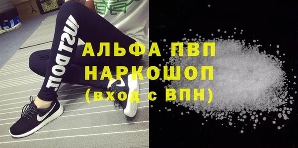 метадон Богданович