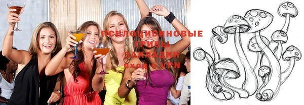 сатива Богородск