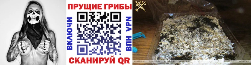 где можно купить   Онега  Псилоцибиновые грибы Magic Shrooms 